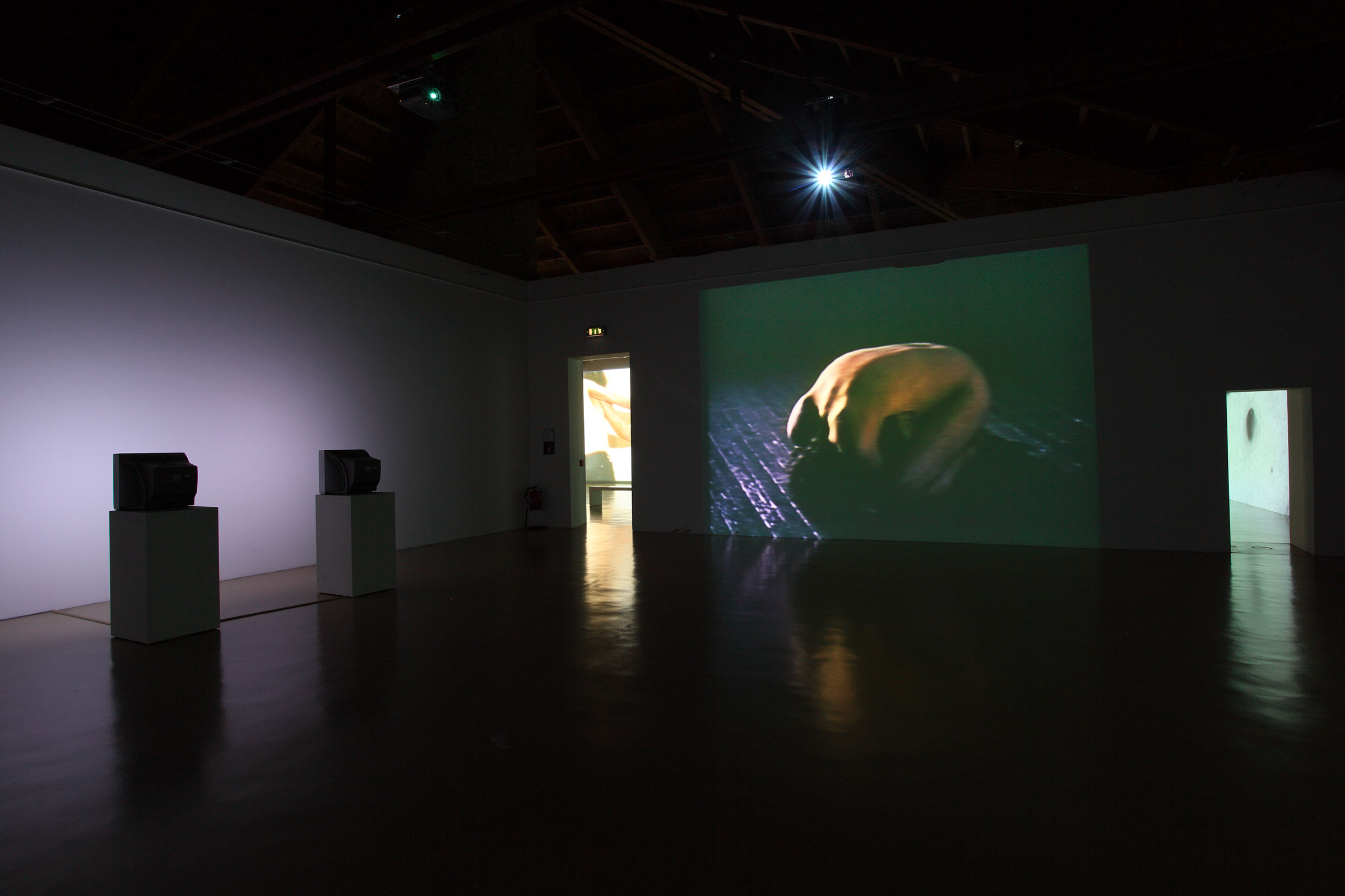 u0022Vito Acconci: u0027Film=Landscape, Video=Close-Upu0027u0022, installation view